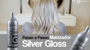 PROHALL Professional GLOSS Silver Tönungsmaske  500ml