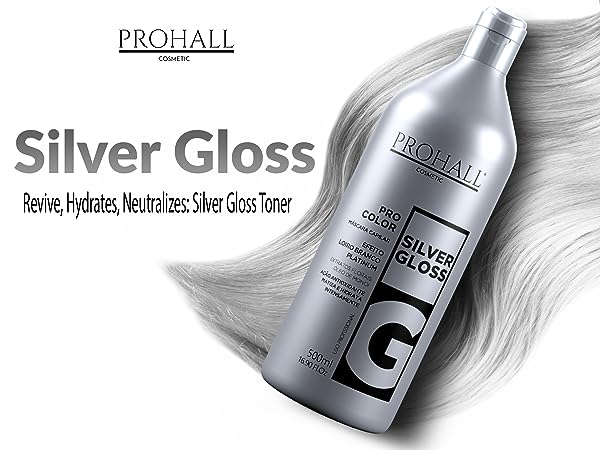 PROHALL Professional GLOSS Silver Tönungsmaske  500ml
