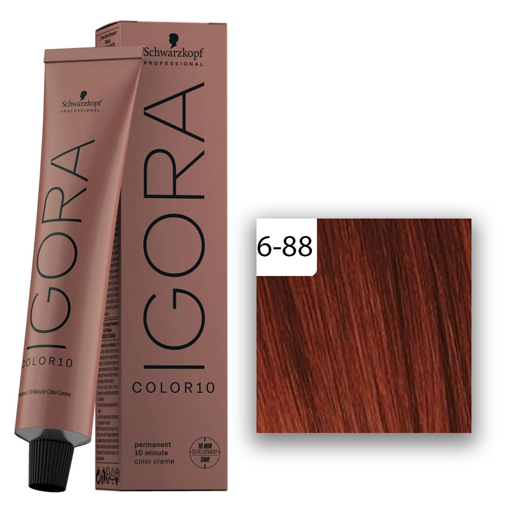 Schwarzkopf Professional Igora Color10 Haarfarbe 6-88 Dunkelblond Rot Extra 60ml