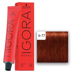 [M.13823.003] Schwarzkopf Professional IGORA ROYAL Haarfarbe 6-77 Dunkelblond Kupfer Extra  60ml